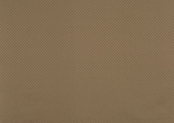 Charleston, Satinwood - Fabric Only - Image 3